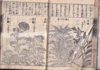 増補頭書訓蒙図彙大成（一～五）　５冊