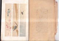 「野鳥」１巻６号　特輯 鳥の渡り