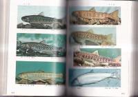 原色淡水魚類検索図鑑