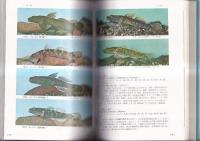 原色淡水魚類検索図鑑