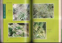 食用・薬用野草ハンドブック