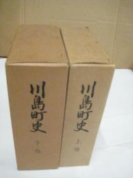 川島町史　（上・下）　全２冊　（徳島県）
