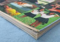 舞い降りた天使たち : Angels 17.8 輝き始めた「超美少女」厳選17人