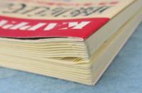 藤原氏の謎: 最長・最大の血脈はいかに成立したか (カッパ・ブックス)