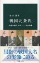 戦国北条氏