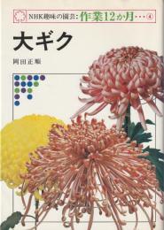 大ギク