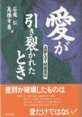 愛が引き裂かれたとき : 追跡ルポ・結婚差別