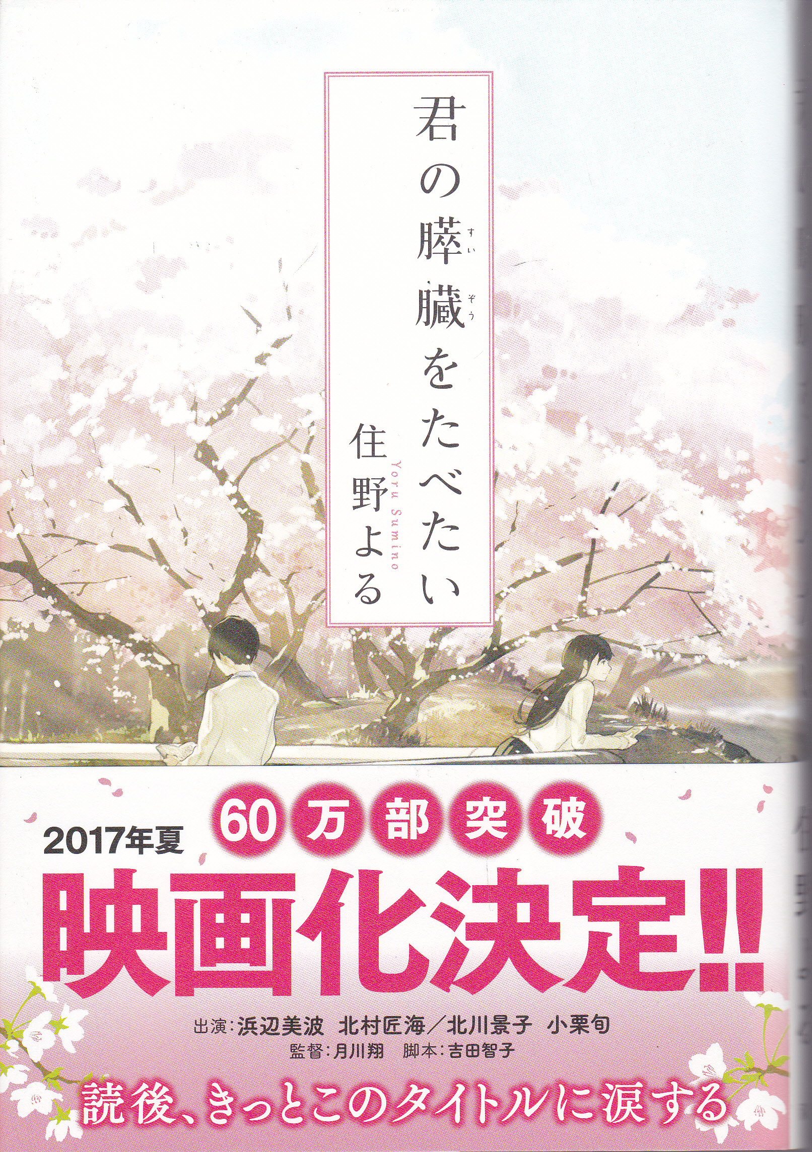 小物などお買い得な福袋 君の膵臓をたべたい(住野よる 古本、中古本、古書籍の通販 / 著) その他