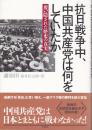 抗日戦争中、中国共産党は何をしていたか