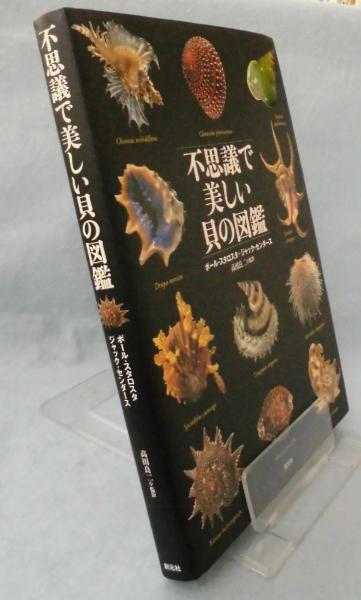 不思議で美しい貝の図鑑