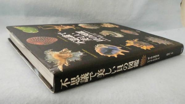 不思議で美しい貝の図鑑