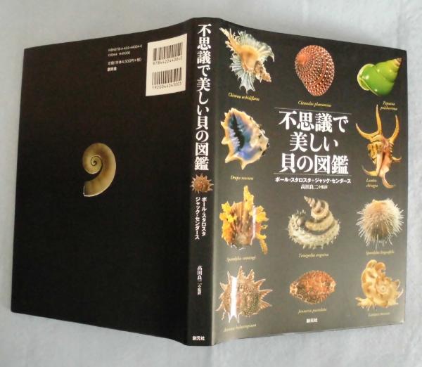 不思議で美しい貝の図鑑