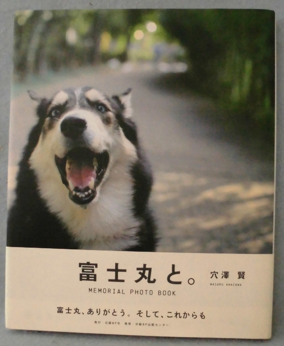 富士丸と Memorial Photo Book 穴澤賢 著 みなみ書店 古本 中古本 古書籍の通販は 日本の古本屋 日本の古本屋 富士丸と Memorial Photo Book 穴澤賢 著 みなみ書店 古本 中古本 古書籍の通販は 日本の古本屋 日本の古本屋