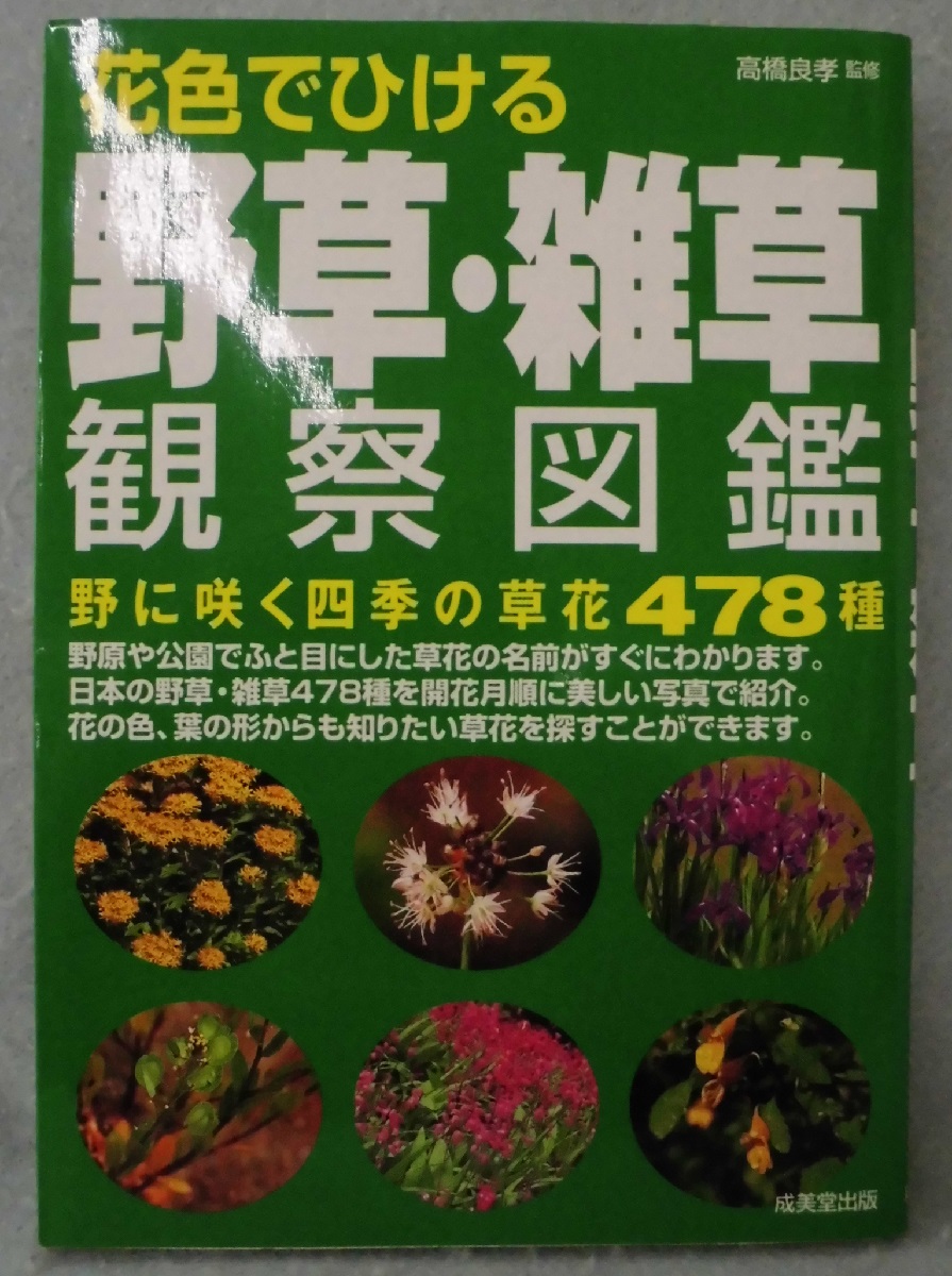 花色でひける野草 雑草観察図鑑 野に咲く四季の草花478種 高橋良孝 監修 古本 中古本 古書籍の通販は 日本の古本屋 日本の古本屋 花色でひける野草 雑草観察図鑑 野に咲く四季の草花478種 高橋良孝 監修 古本 中古本 古書籍の通販は 日本の古本屋 日本の古本屋