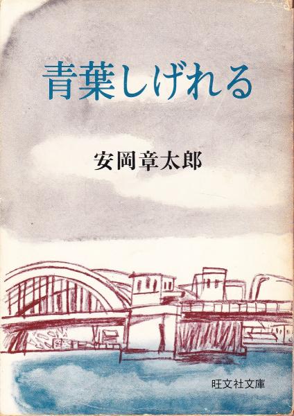 豪華で新しい 英語辞書の変遷 英 米 日本を併せ見て confmax.com.br