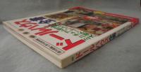 ドールハウス全書
