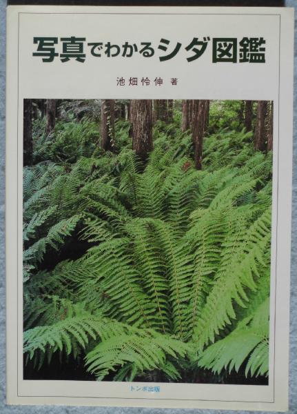 写真でわかるシダ図鑑(池畑怜伸 著) / 古本、中古本、古書籍の