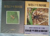 原色日本クモ類図鑑 (保育社の原色図鑑) 原色日本クモ類図鑑(八木沼健夫 著) / 藤原書店 / 古本、中古本