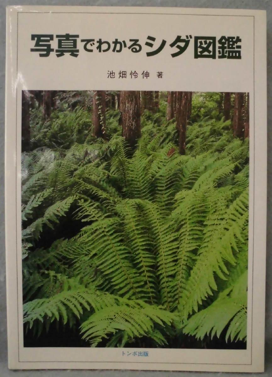 Amazon.co.jp: フィールド版写真でわかるシダ図鑑 : 池畑 怜伸: 本