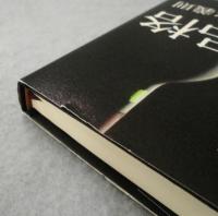 遊びの品格 : 洗練された大人の男の遊び方