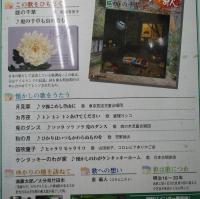 隔週刊 日本のうた こころの歌 改訂版