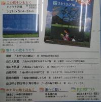 隔週刊 日本のうた こころの歌