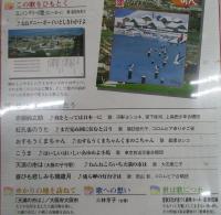 隔週刊 日本のうた こころの歌