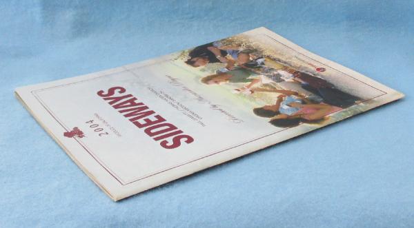 映画パンフレット28冊 2025.4.19〜 #映画 #メイデン #パンフレット