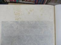 数寄屋建築集成 （全9巻揃）(中村昌生 監修) / 古本、中古本、古