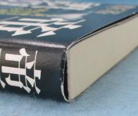 帝王の誤算 : 小説 世界最大の広告代理店を創った男