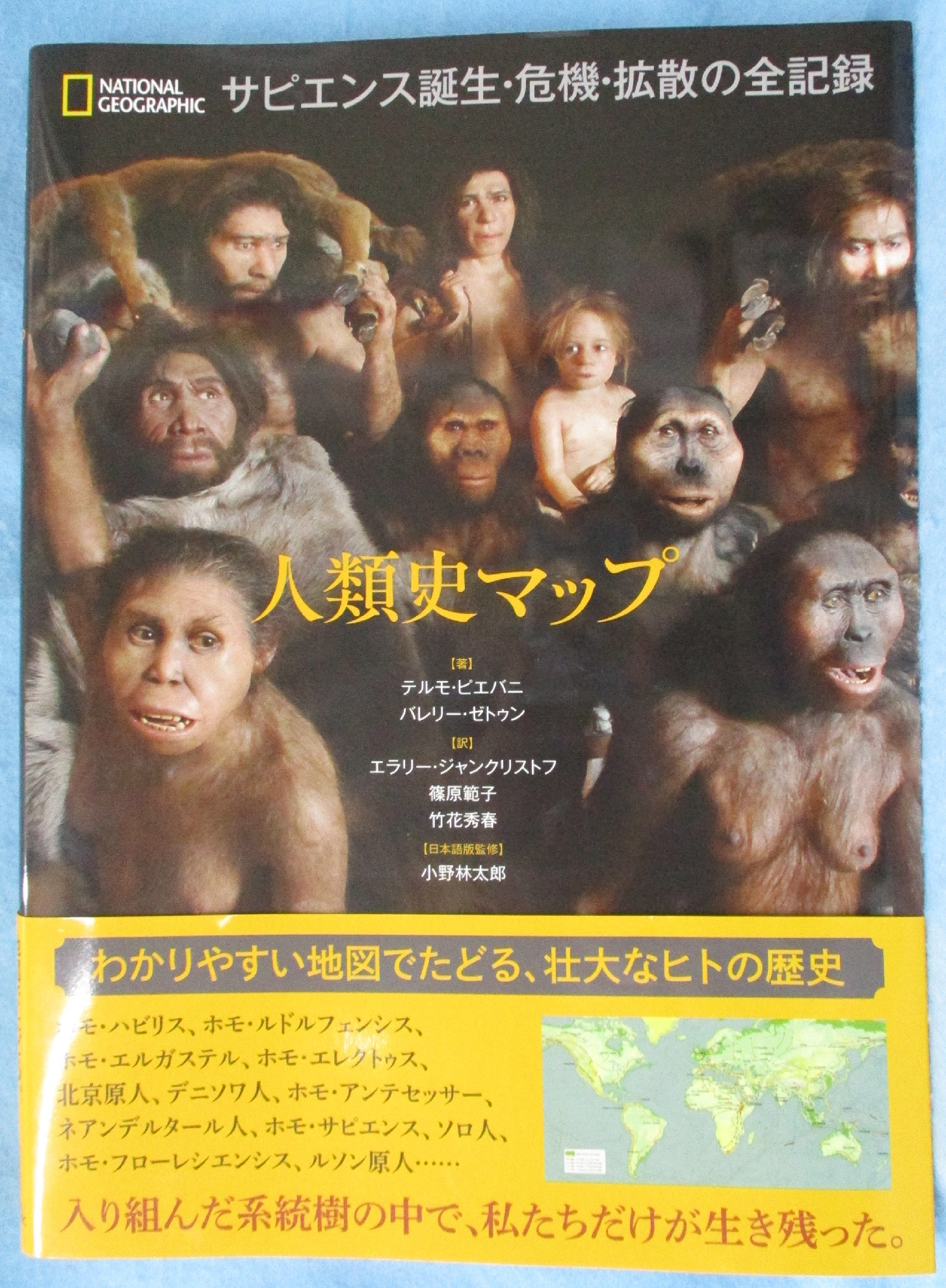 フォノ・サピエンス誕生 フォノ・サピエンス誕生 新デジタル時代の勝ち残り方 | チェ