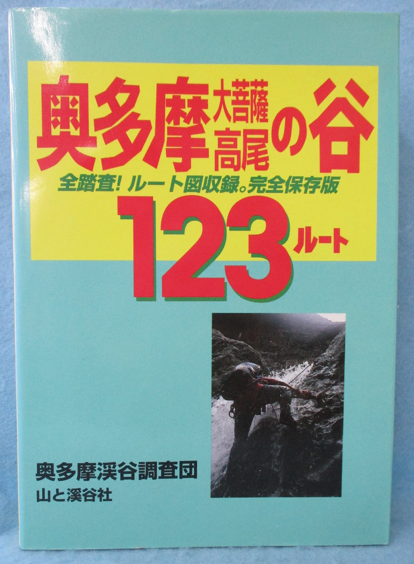 奥多摩・大菩薩・高尾の谷123ルート(奥多摩渓谷調査団 著 ; 地平線 編