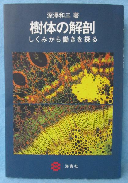 【中古】 樹体の解剖 樹体の解剖 : しくみから働きを探る(深澤和三 著) / 古本、中古本、古