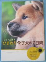 ひまわりと子犬の7日間 : フォトえほん