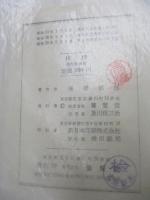 柑橘