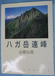 八ガ岳連峰
