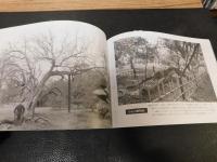 「100年前の東京と自然」　プラントハンター ウィルソンの写真