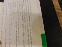 「悲劇のヒーロー　豊臣秀頼」