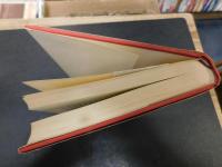 「沖縄戦に生きて 」　一歩兵小隊長の手記