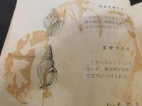 「瀬戸内の貝類」