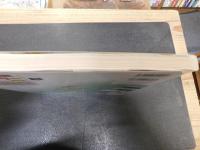 最新世界史図説　タペストリー