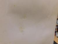 「正岡子規の絵 」　子規100年祭in松山特別企画展