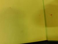 「熱帯の果実」