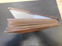 「犬猫の会話七つ」