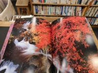 「森の白神」　世界遺産写真集