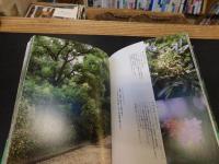 「御所のお庭」