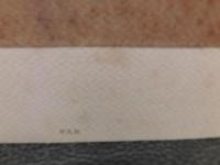 「日本人美術家のパリ　１８７８‐１９４２」