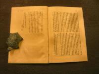 「留日回顧」　 一中国アナキストの半生