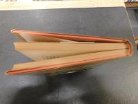 「背中の勲章」