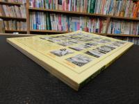 「季刊　水墨画　No.３１　菊の描法」